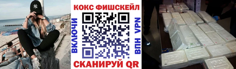 COCAIN Fish Scale  Купить закладки  Ухта 